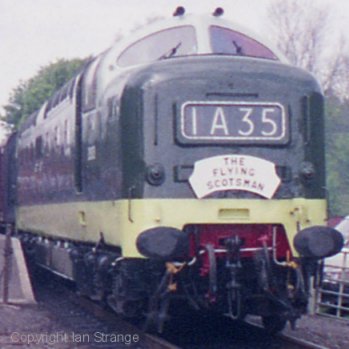 D9019 at Rothley, 1994